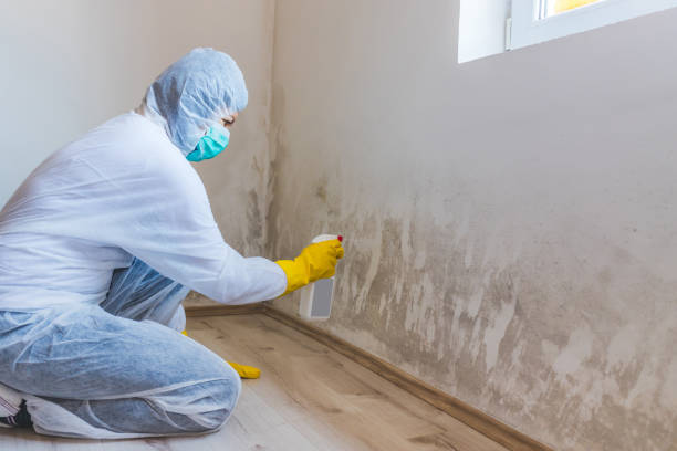 Licensed Crawl Space Mold Remediation service in Boston, MA - Car Mold Remediation