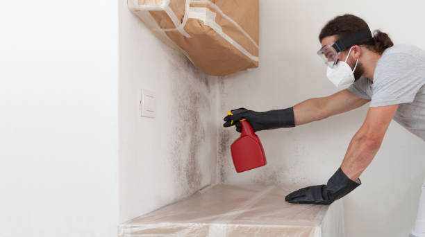 Professional Crawl Space Mold Remediation technician working in Boston, MA