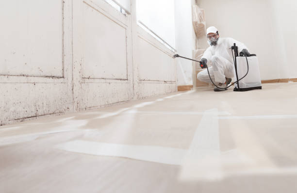 24/7 Emergency Crawl Space Mold Remediation experts in Boston, MA